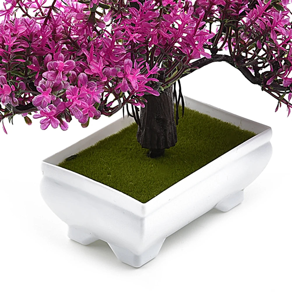 Bonsai Small Tree Pot